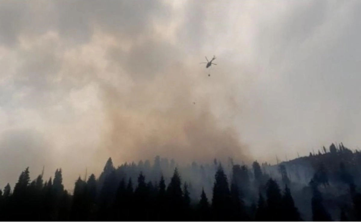 Фото: МЧС РК