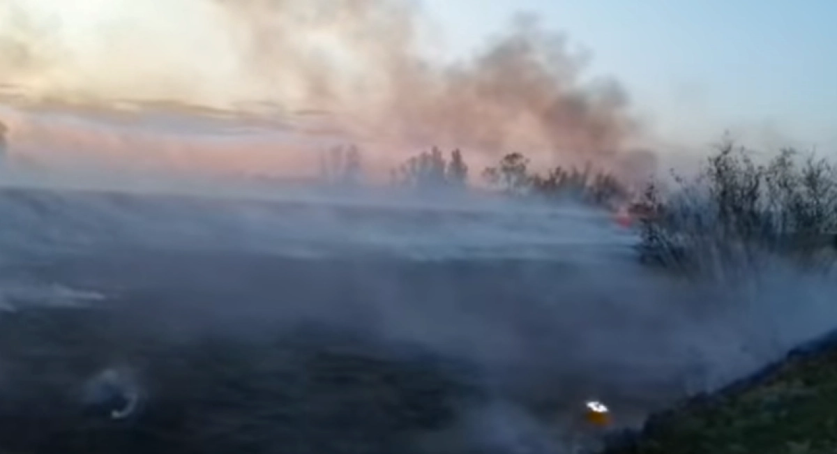 Кадр из видео