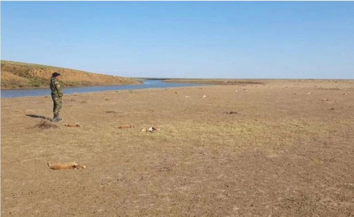 Фото: Минэкологии и природопользования РК