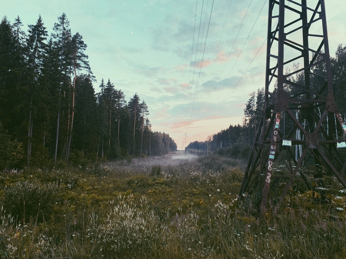 Фото: unsplash.com