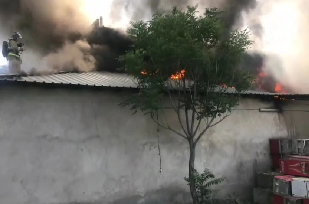 Фото: ДЧС Шымкента