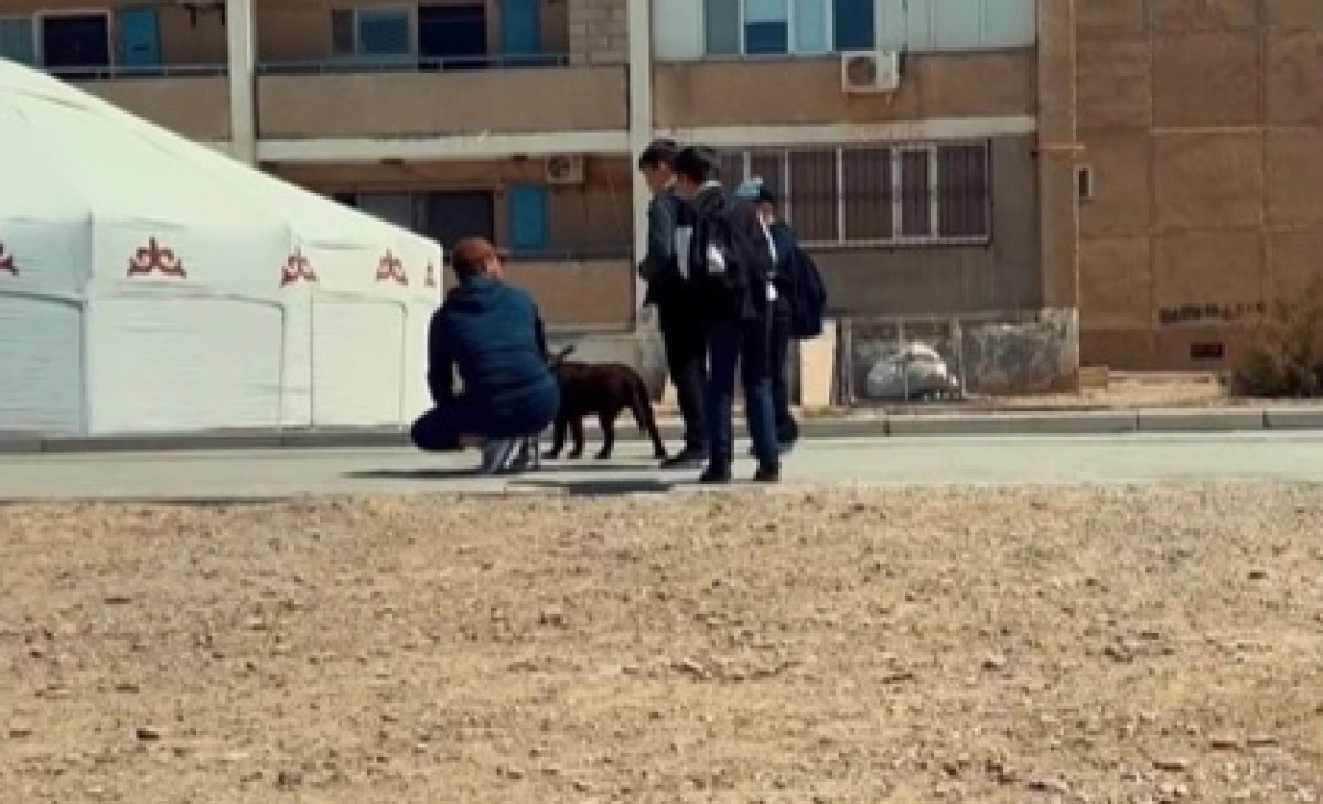 Скриншот с видео