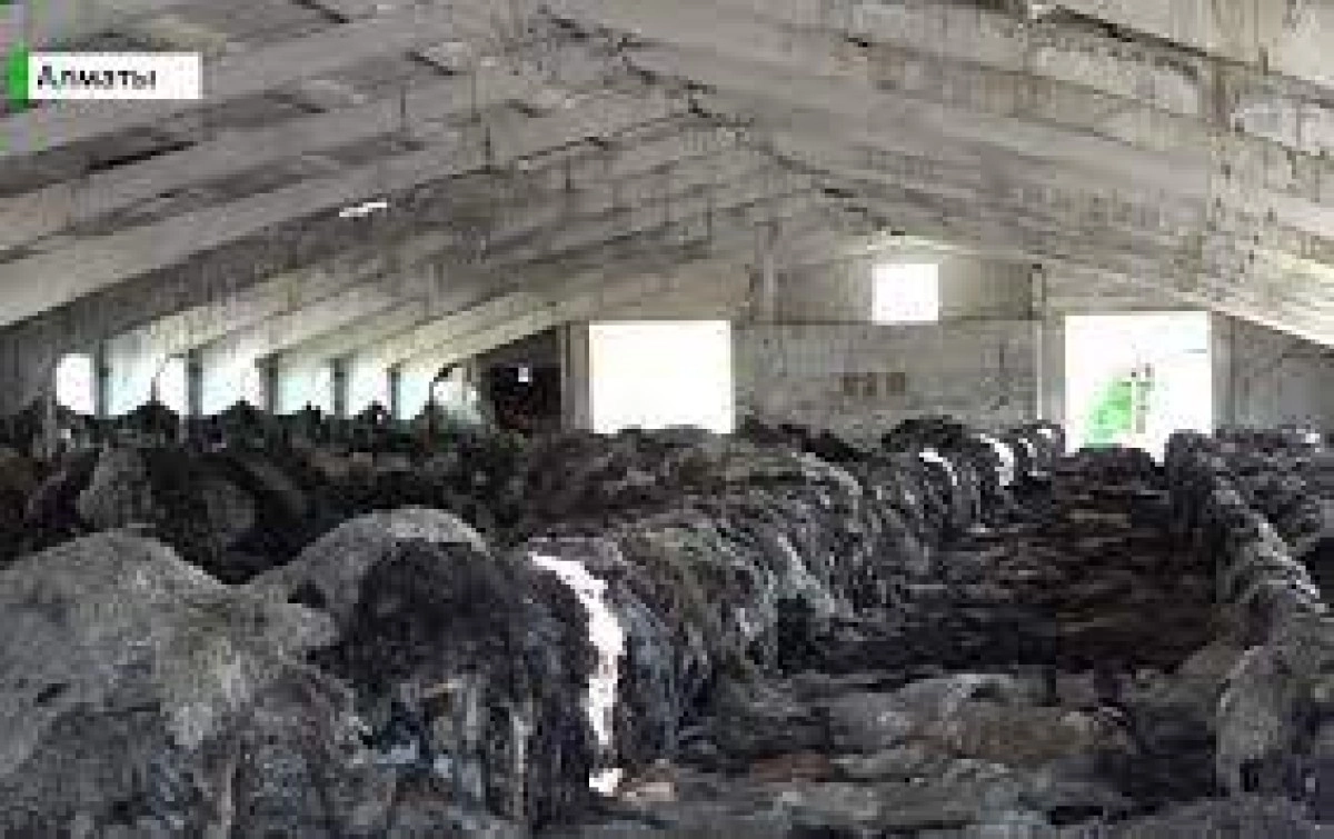 Скриншот с видео