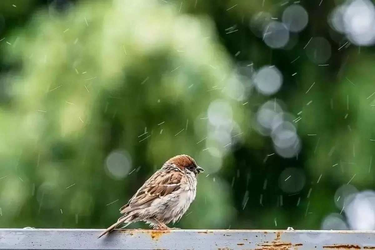 Фото: pixabay.com