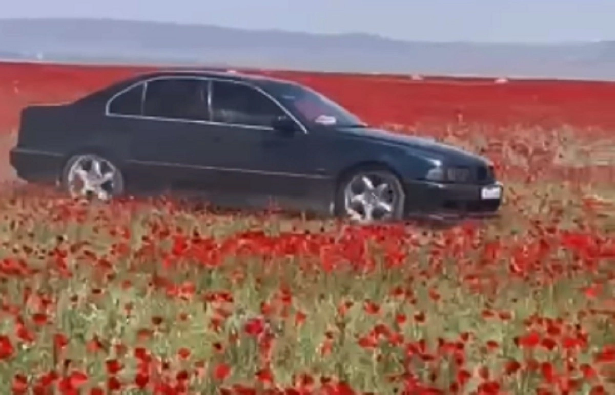 Кадр из видео