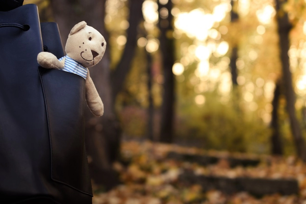 Фото: pixabay.com