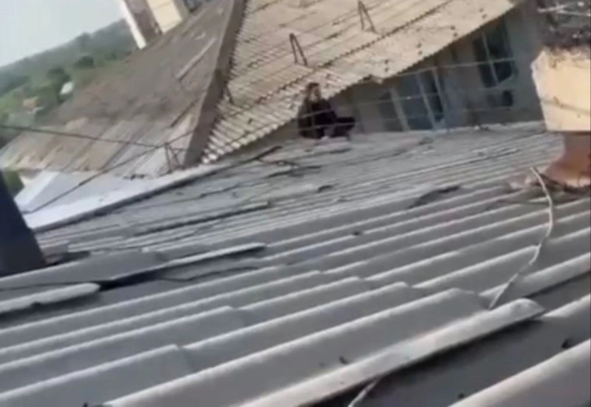 Фото: кадр из видео