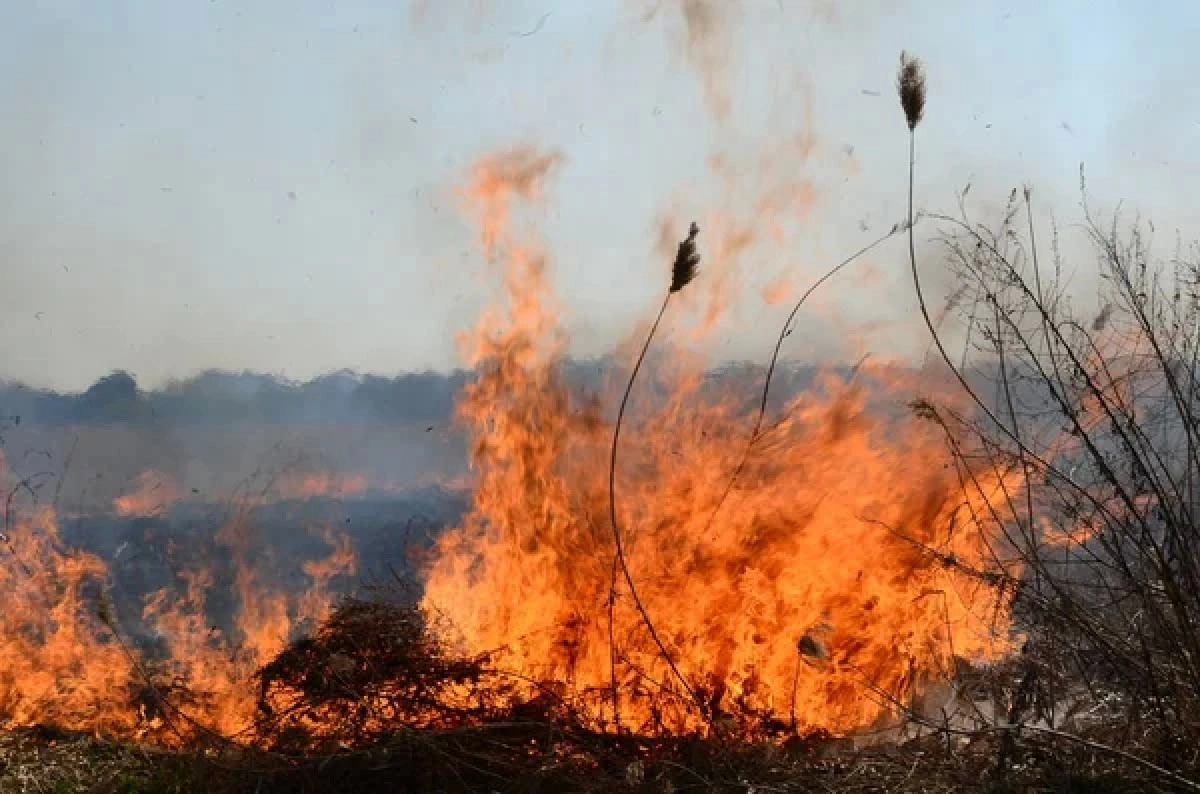 Фото: depositphotos.com