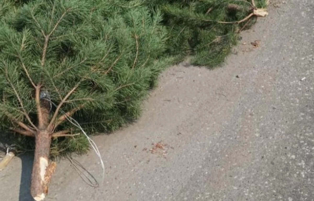 Фото: Марат Жундубаев/Instagram