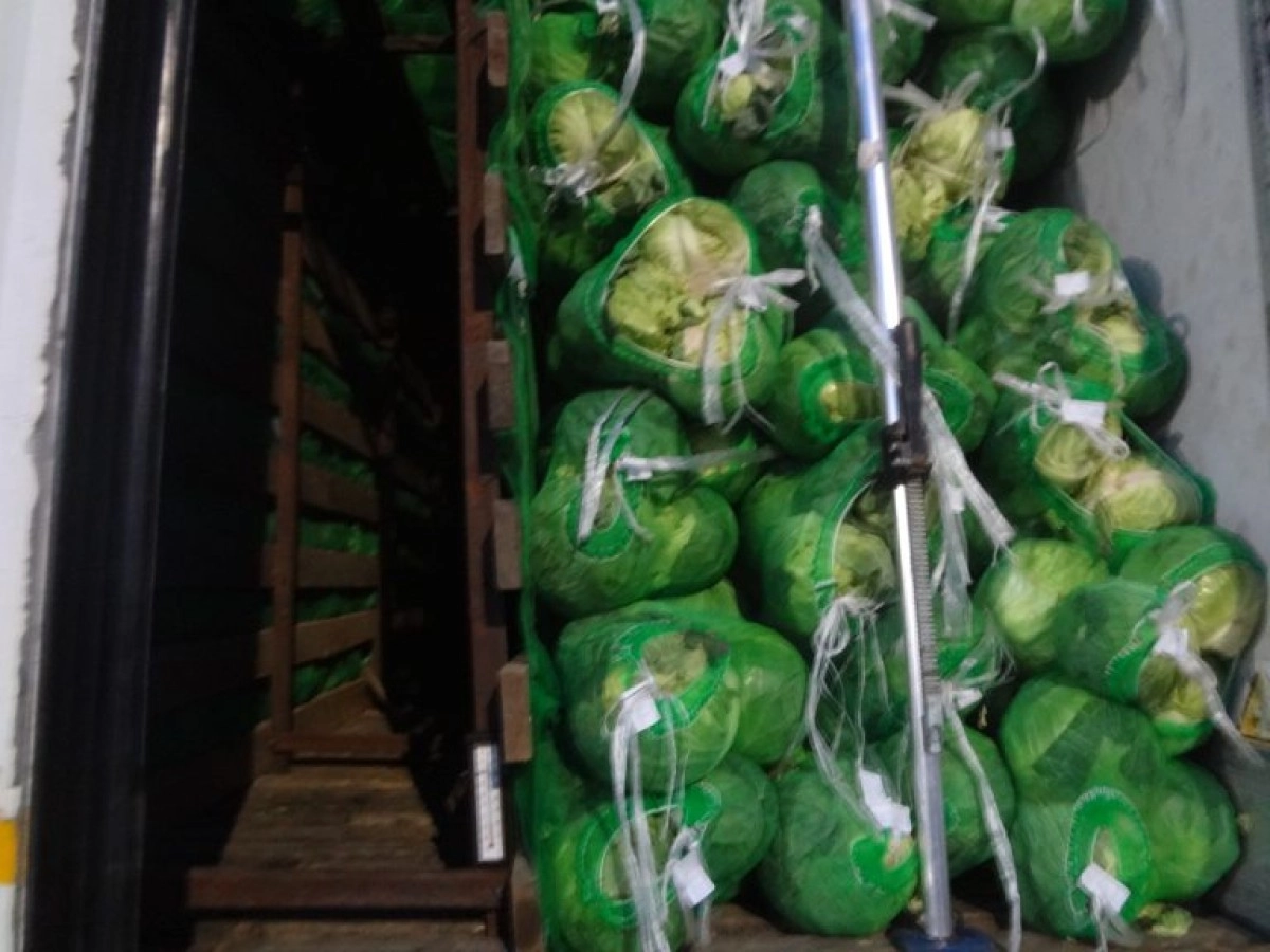 Фото: управление ФС по ветеринарному и фитосанитарному надзору по Омской области