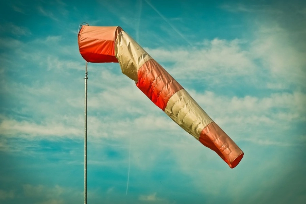 Фото: pixabay.com