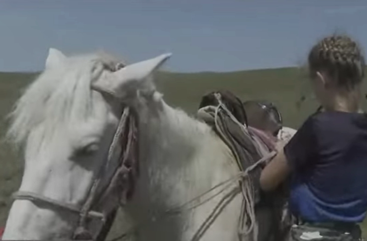 Кадр из видео