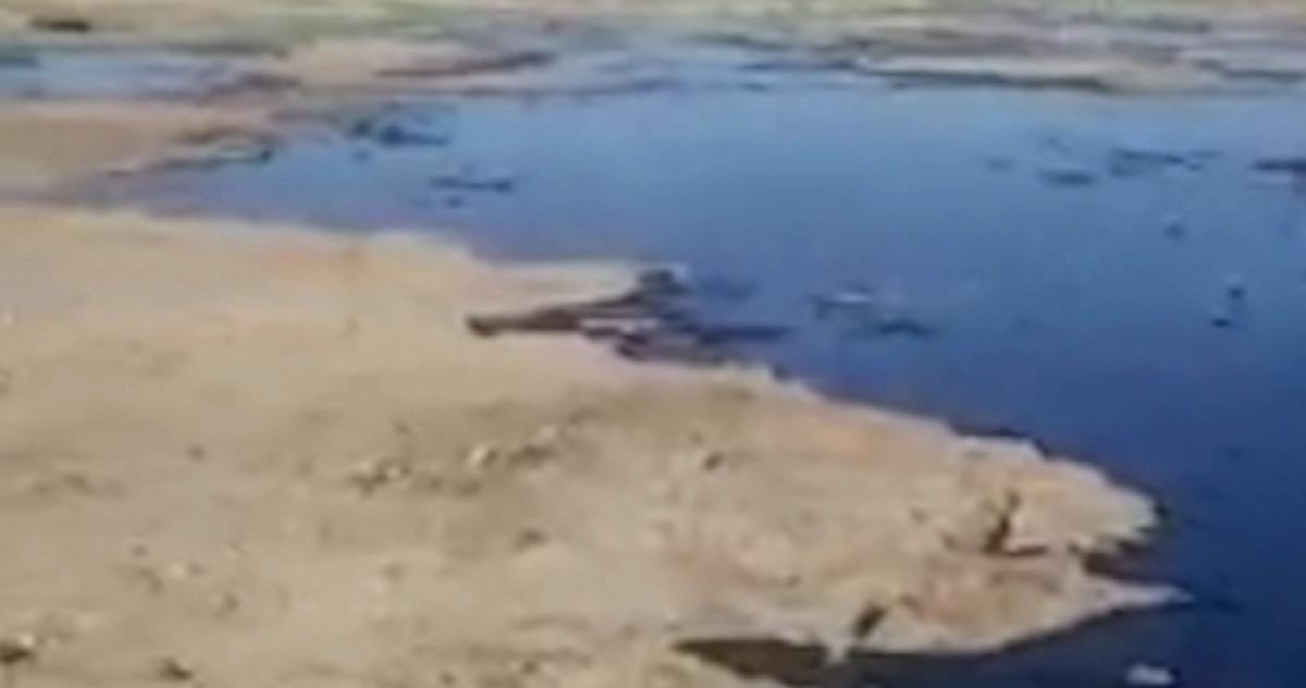 Кадр из видео/ КТК