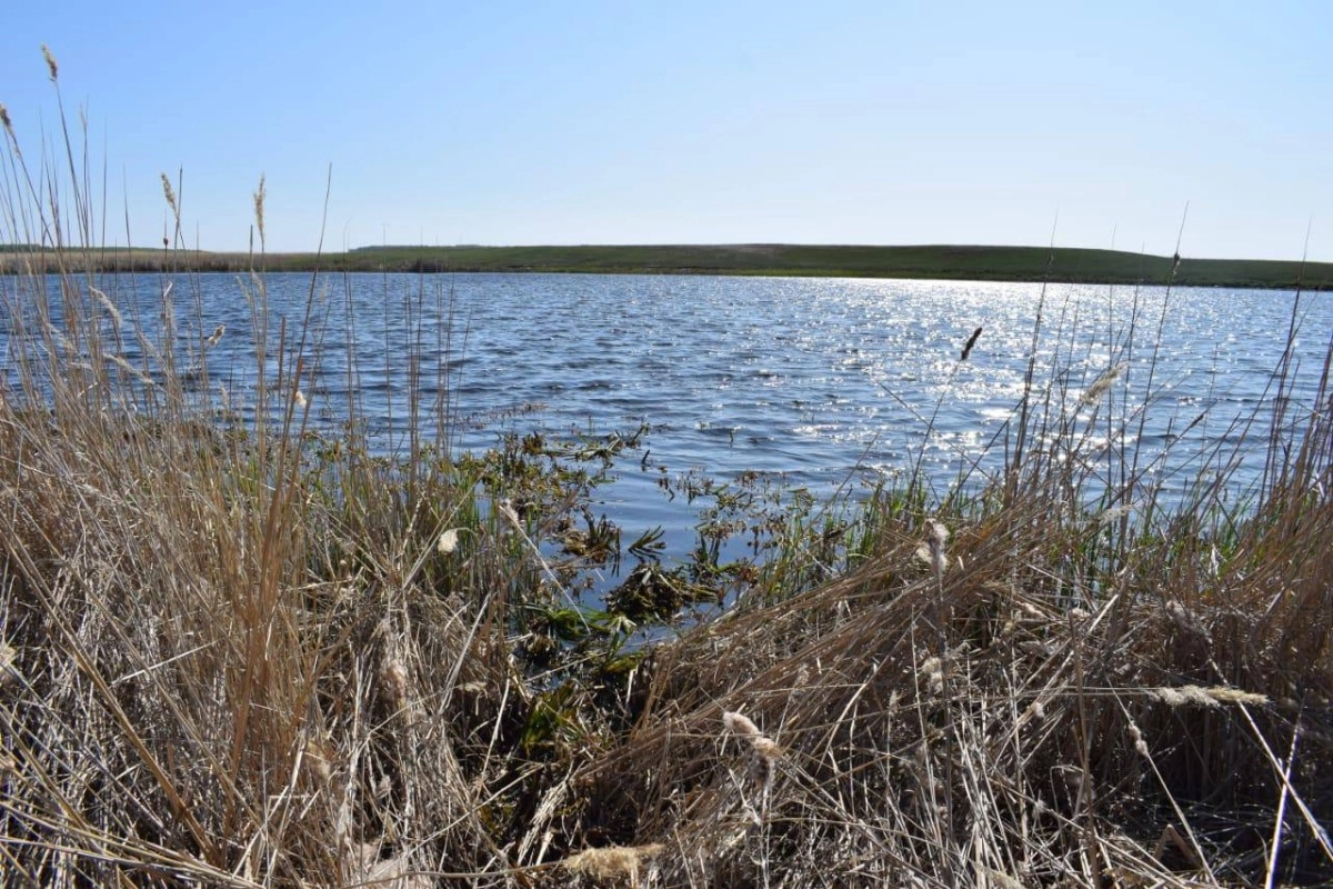 Фото: Polisia.kz