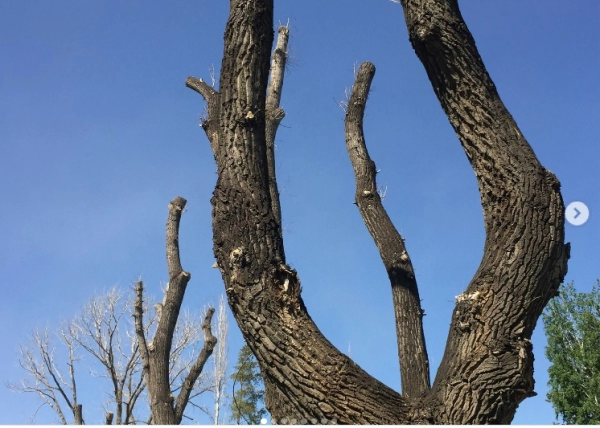 Фото: Интересный Павлодар