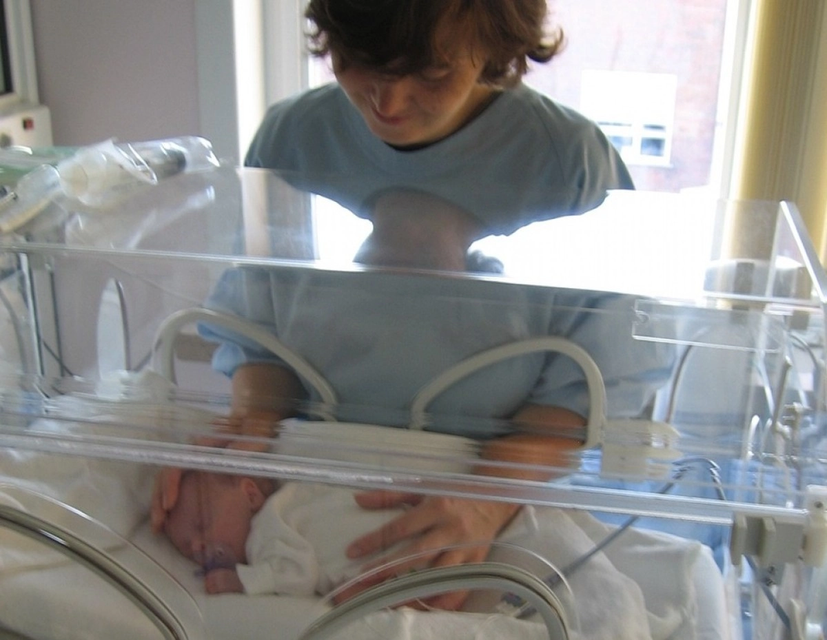 Фото: pixabay.com