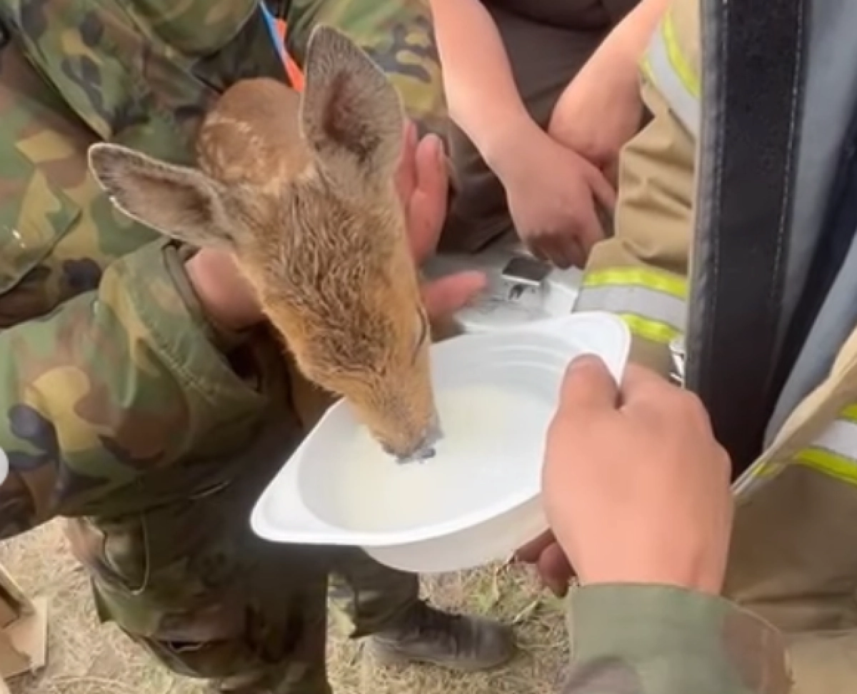 Фото: Instagram @club_dobryakov_astana