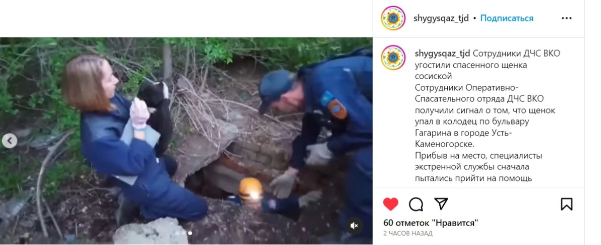 Скриншот страницы ДЧС ВКО