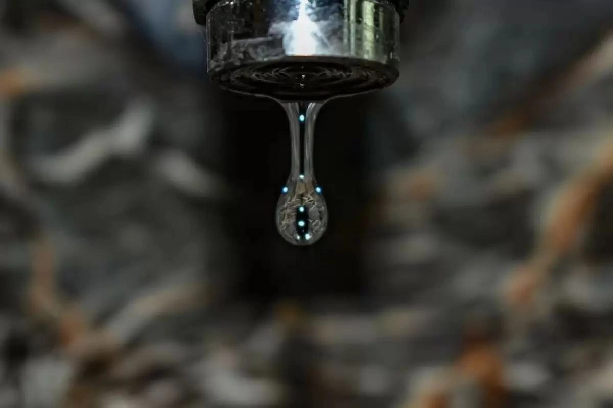 Фото: unsplash.com