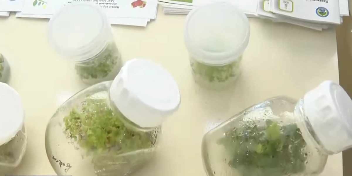 кадр из видео