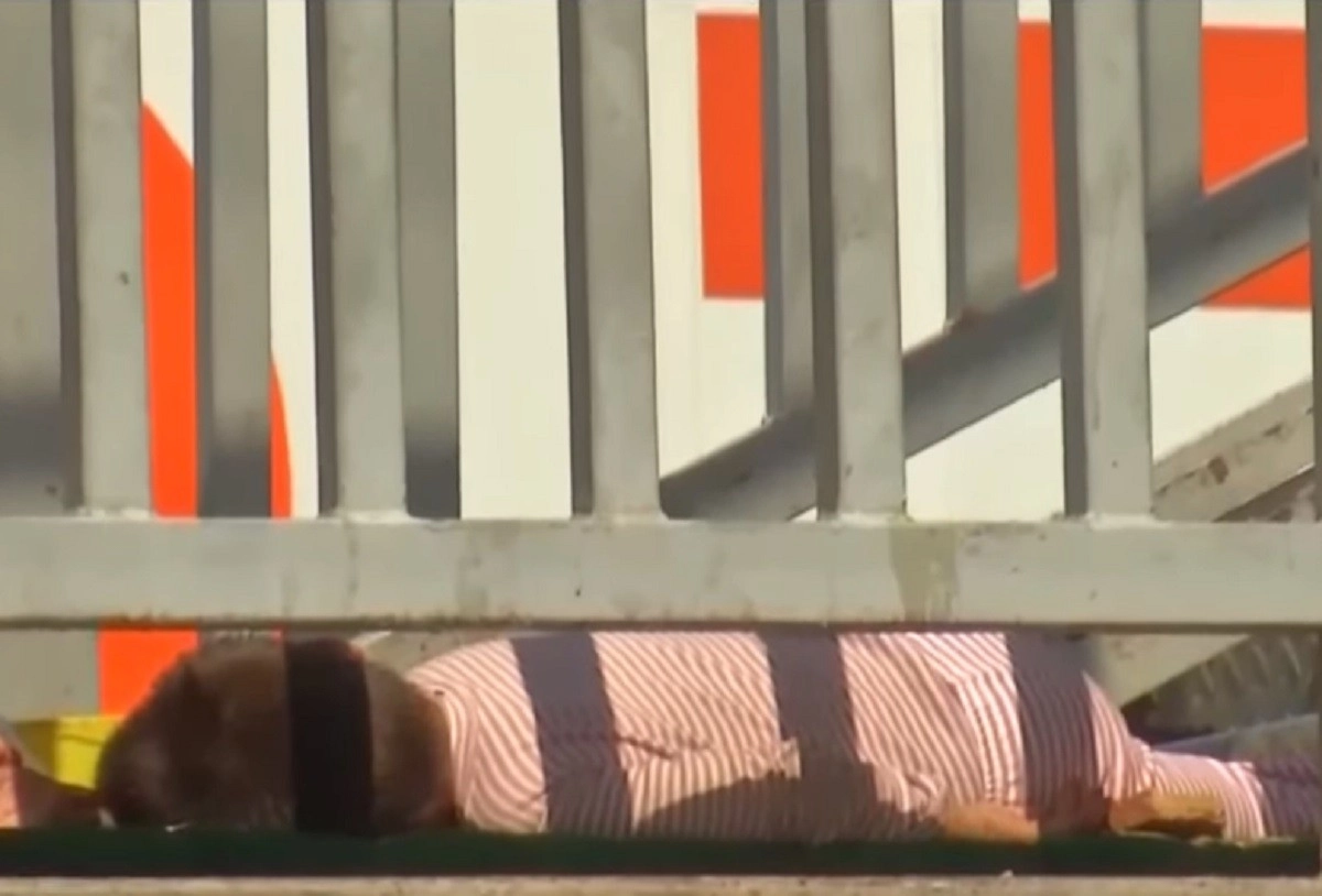 Кадр из видео