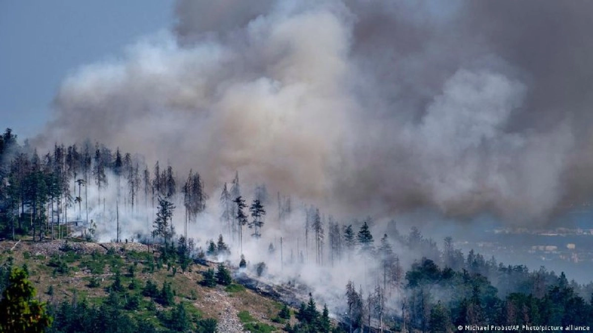 Фото: Michael Probst