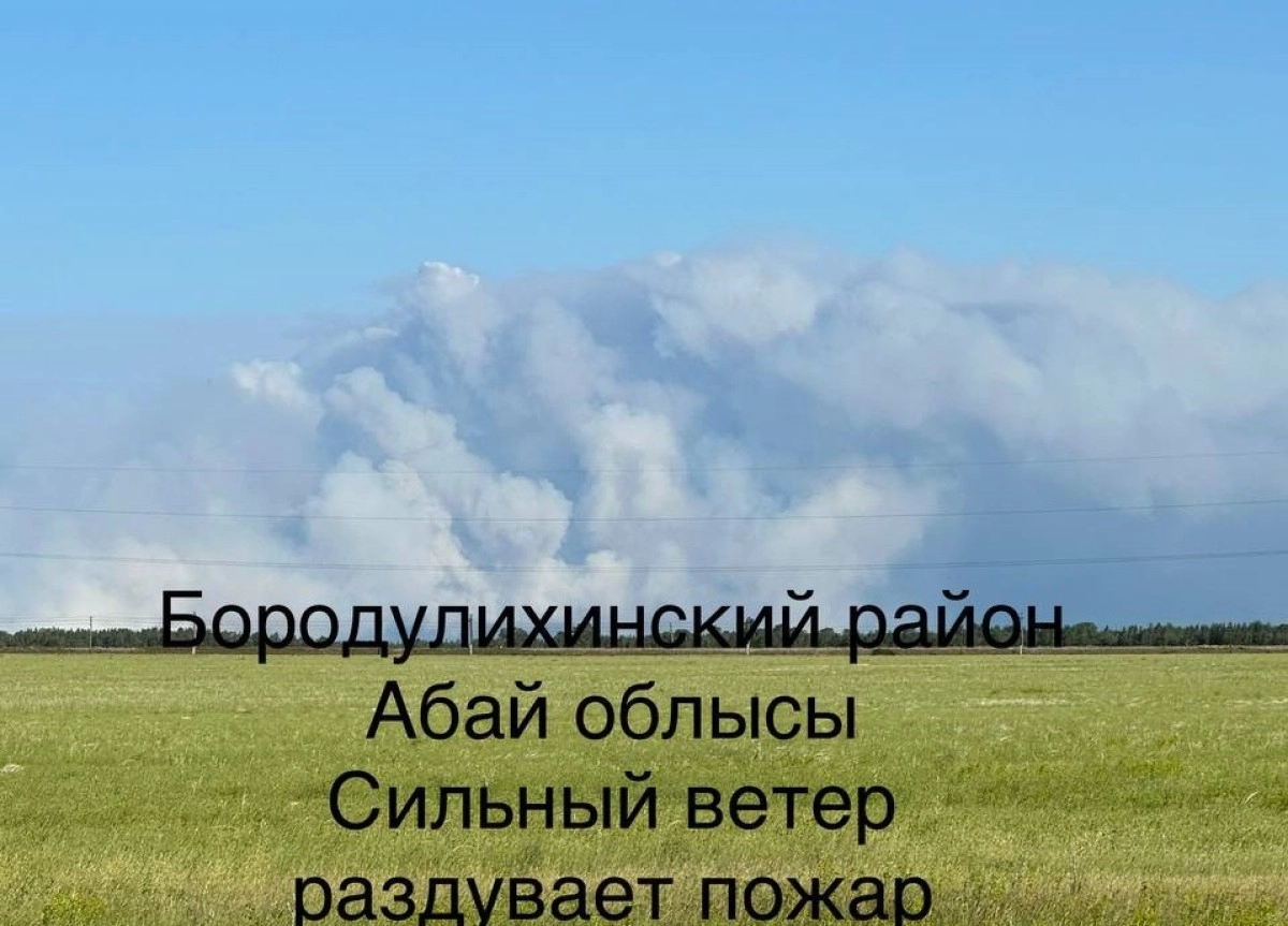 Фото: satzhangram/Telegram