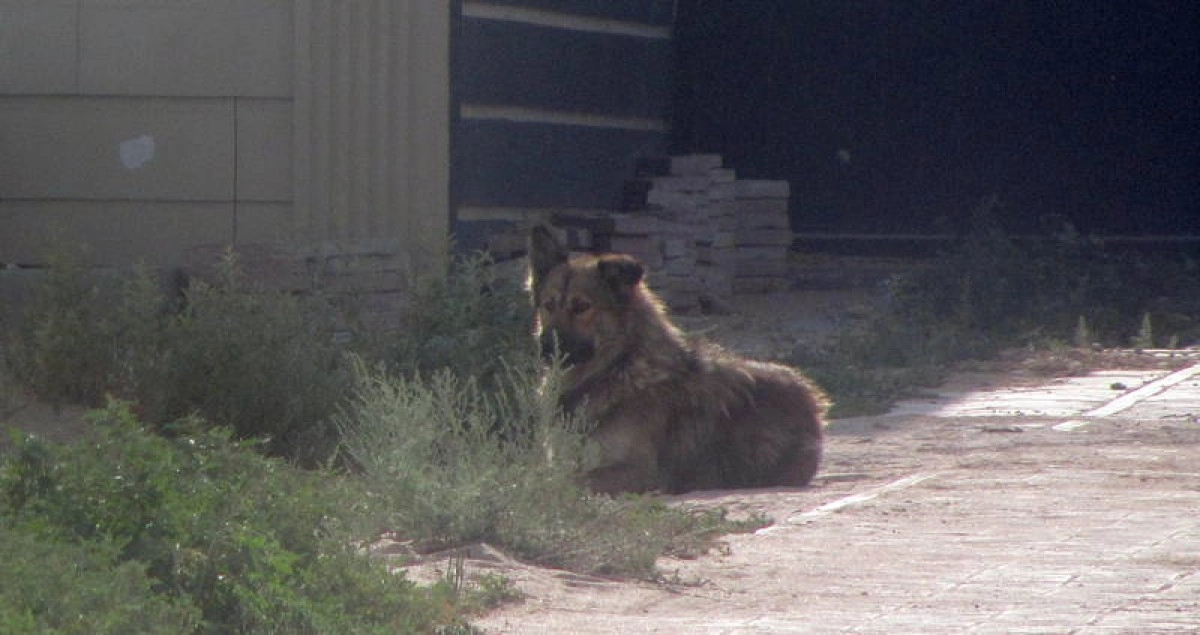 Фото взято с сайта lada.kz