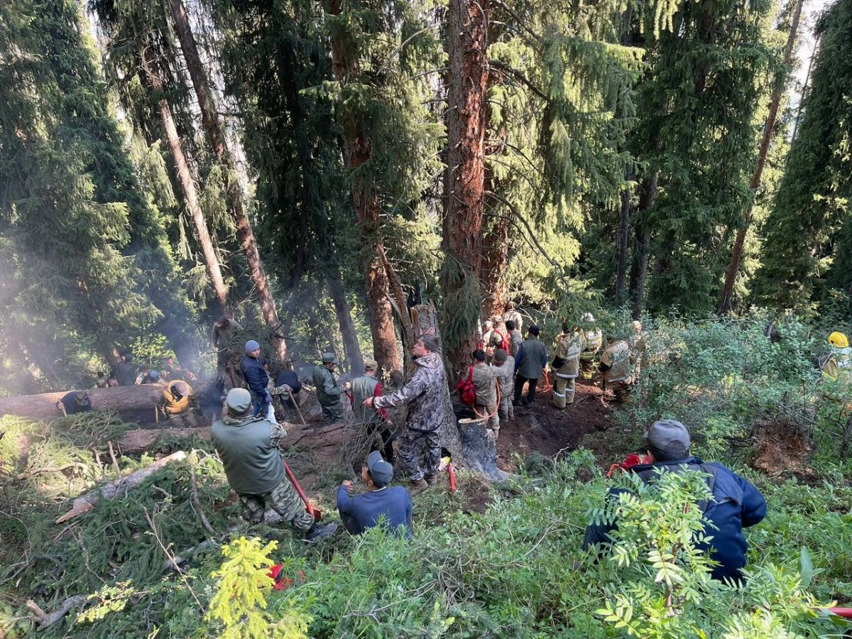 Фото: МЧС РК