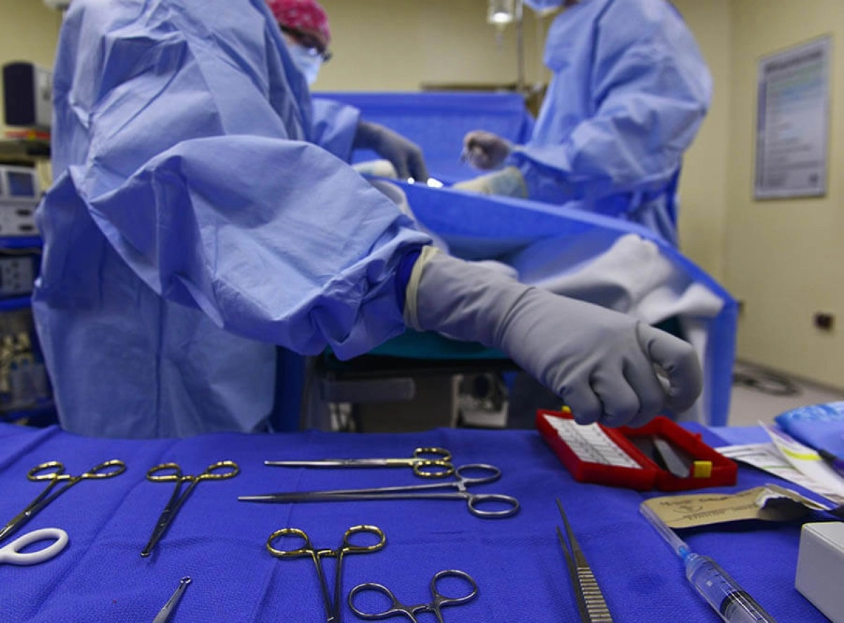 Фото: pixabay/skeeze