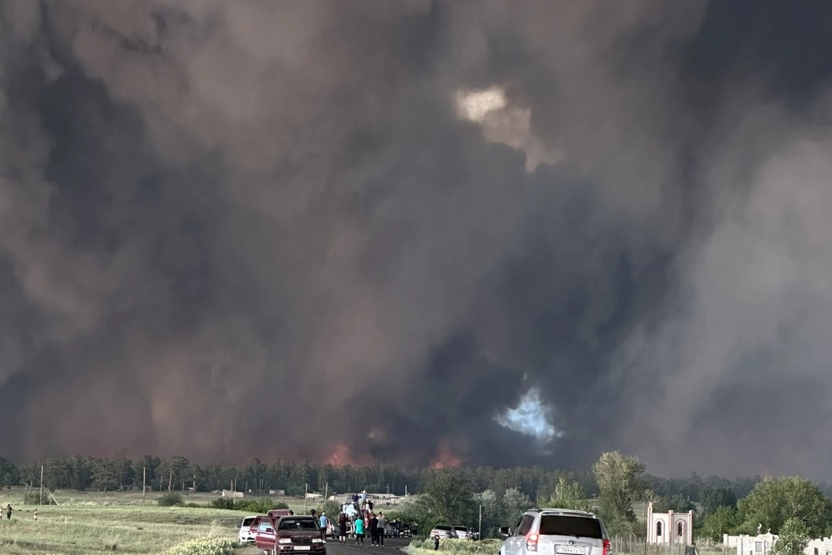 Фото: twitter/mr_Blackovich