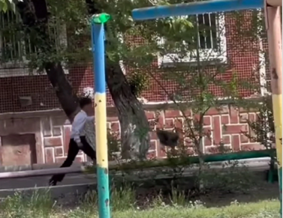 Кадр из видео