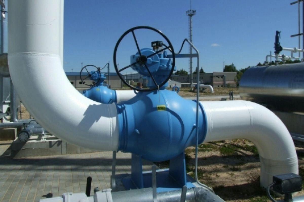 Фото: Виктор Лисицын