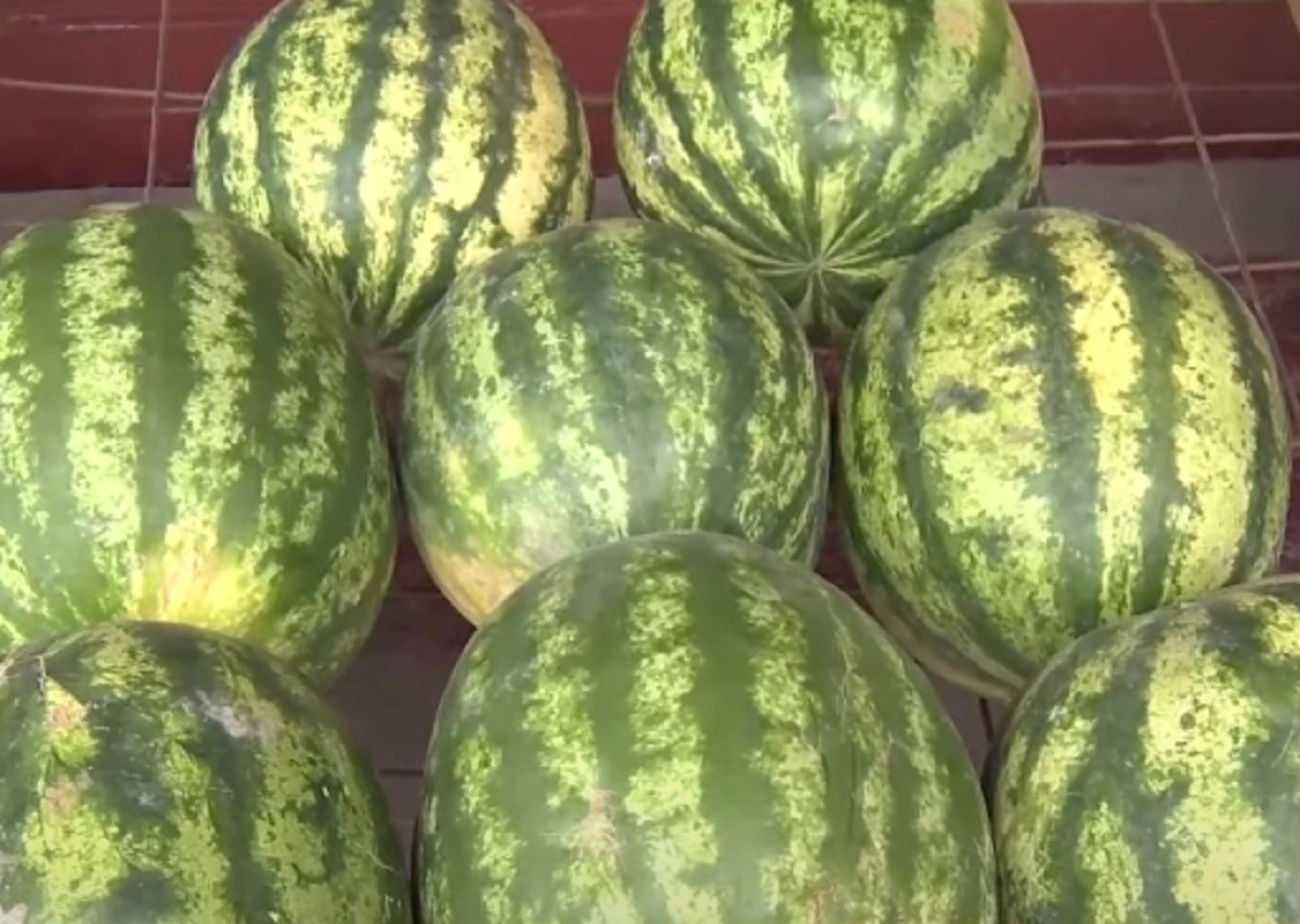 Кадр из видео