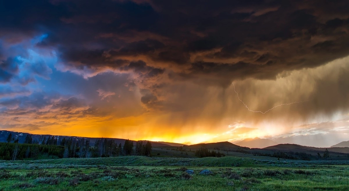 Фото: pixabay.com