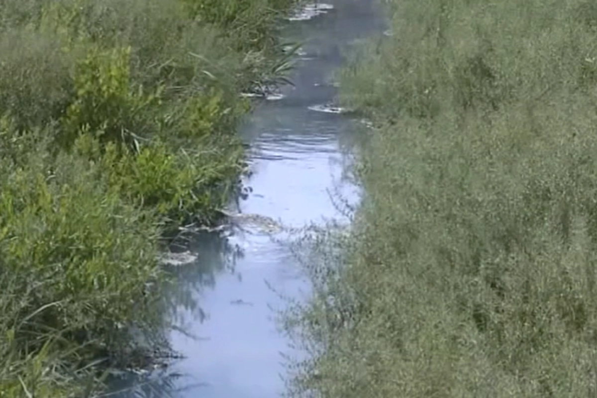 Кадр из видео/ КТК