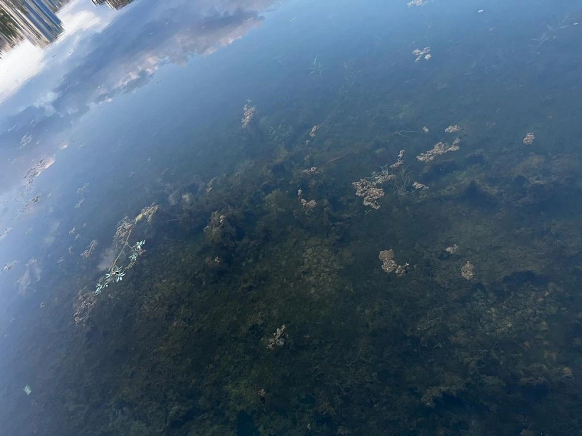 Фото: ИА «NewTimes.kz»