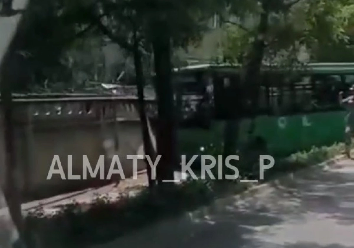Кадр видео