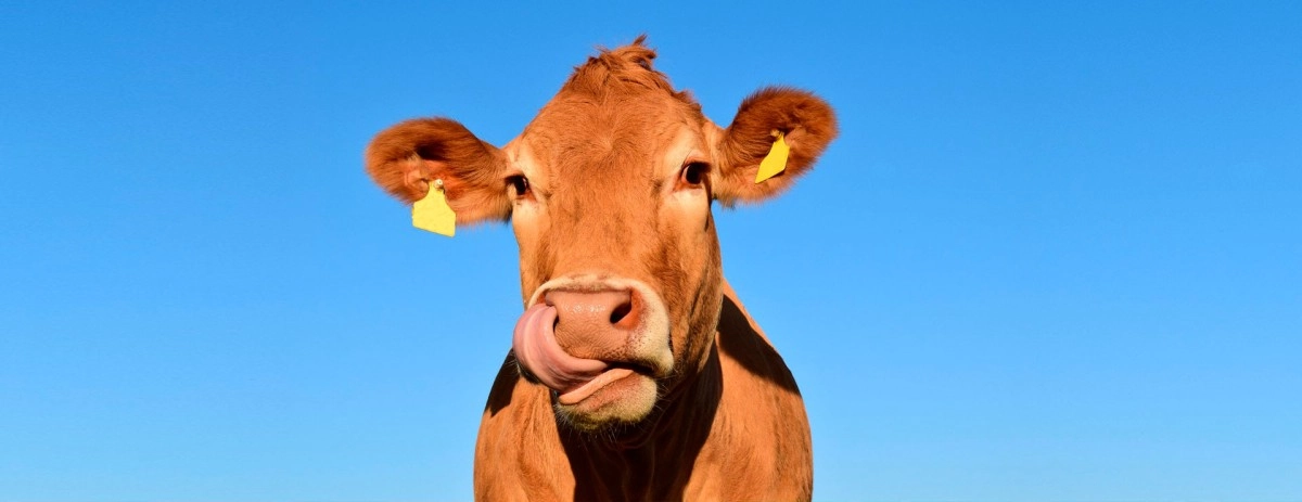 Фото: из открытых источников