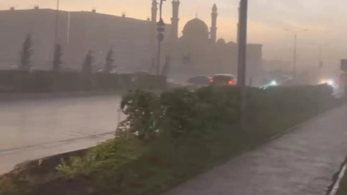 Скриншот из видео