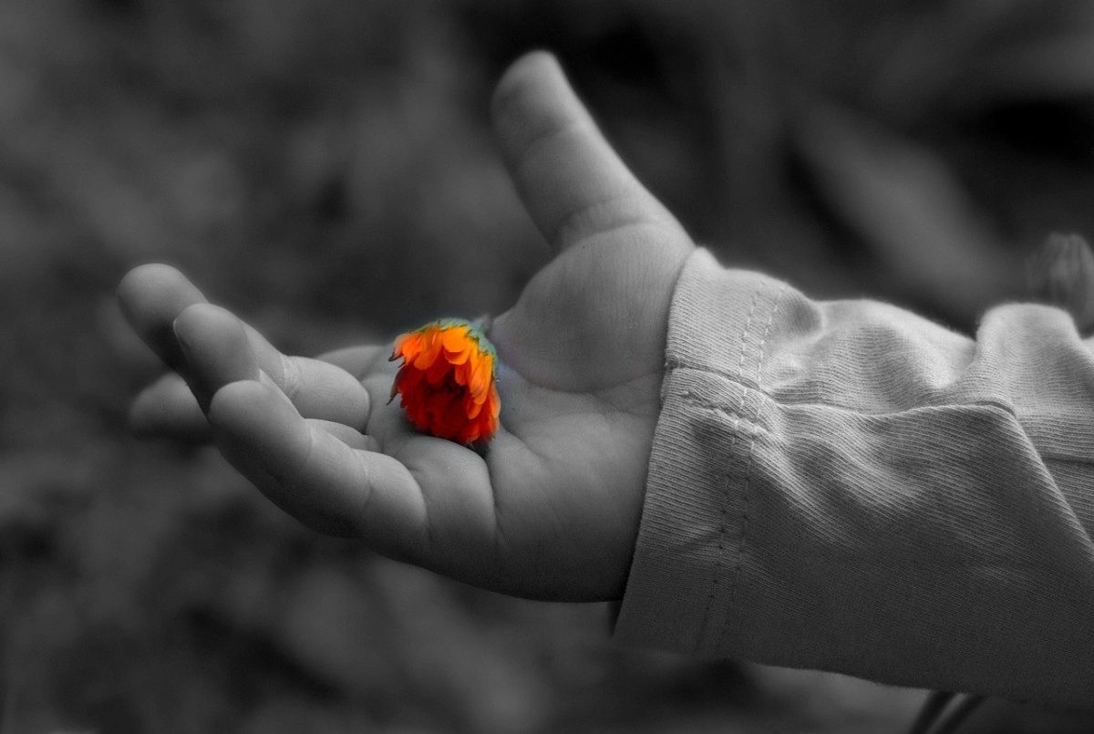 Фото: pixabay.com
