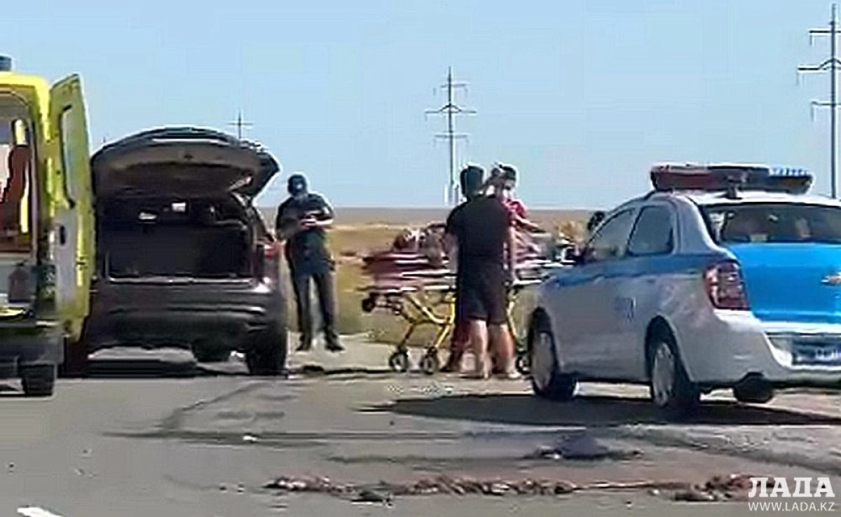 Фото: кадр из видео