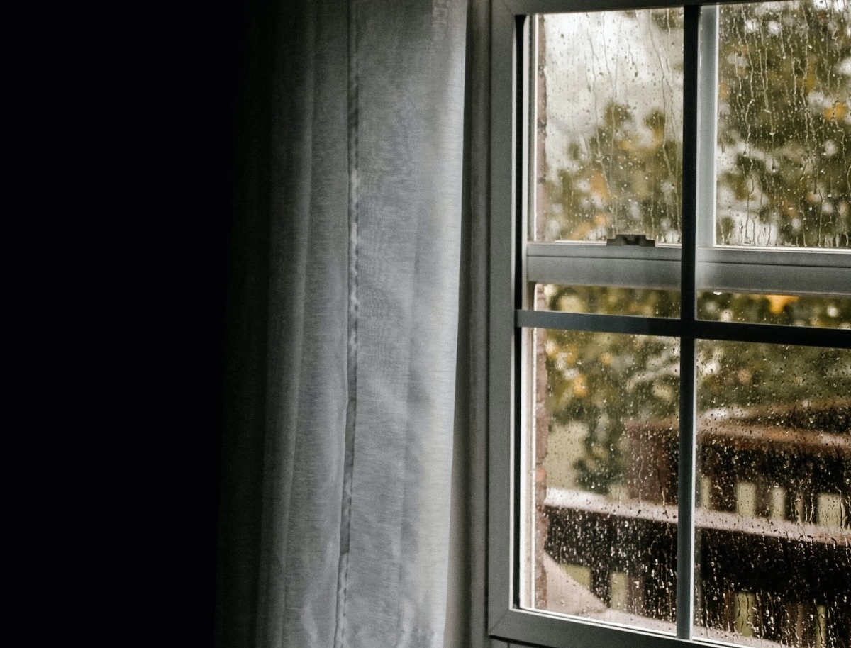 Фото: unsplash.com