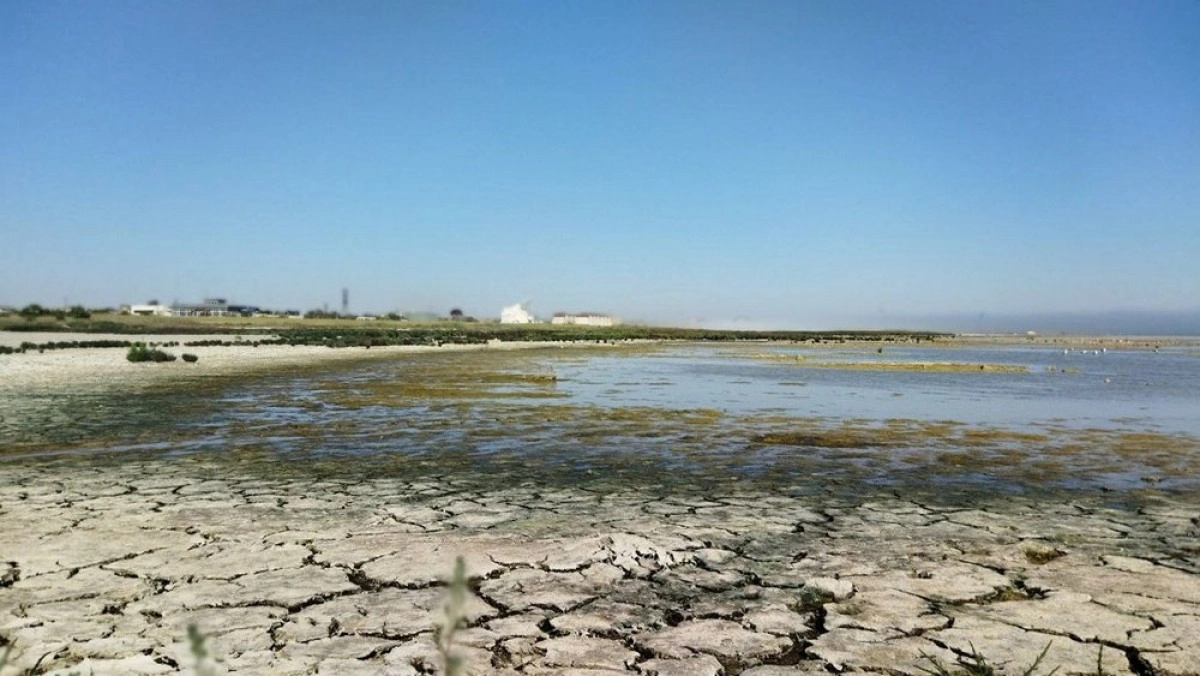 Фото: Сергей Кораблев