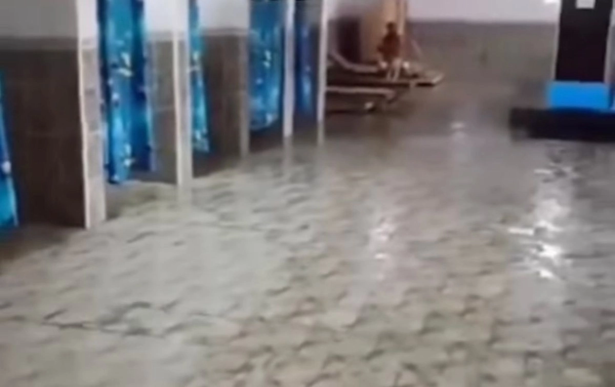 Фото: кадр из видео