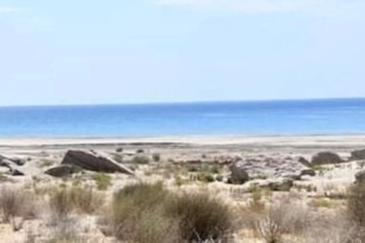 Фото: пресс-служба ДЧС Мангистауской области