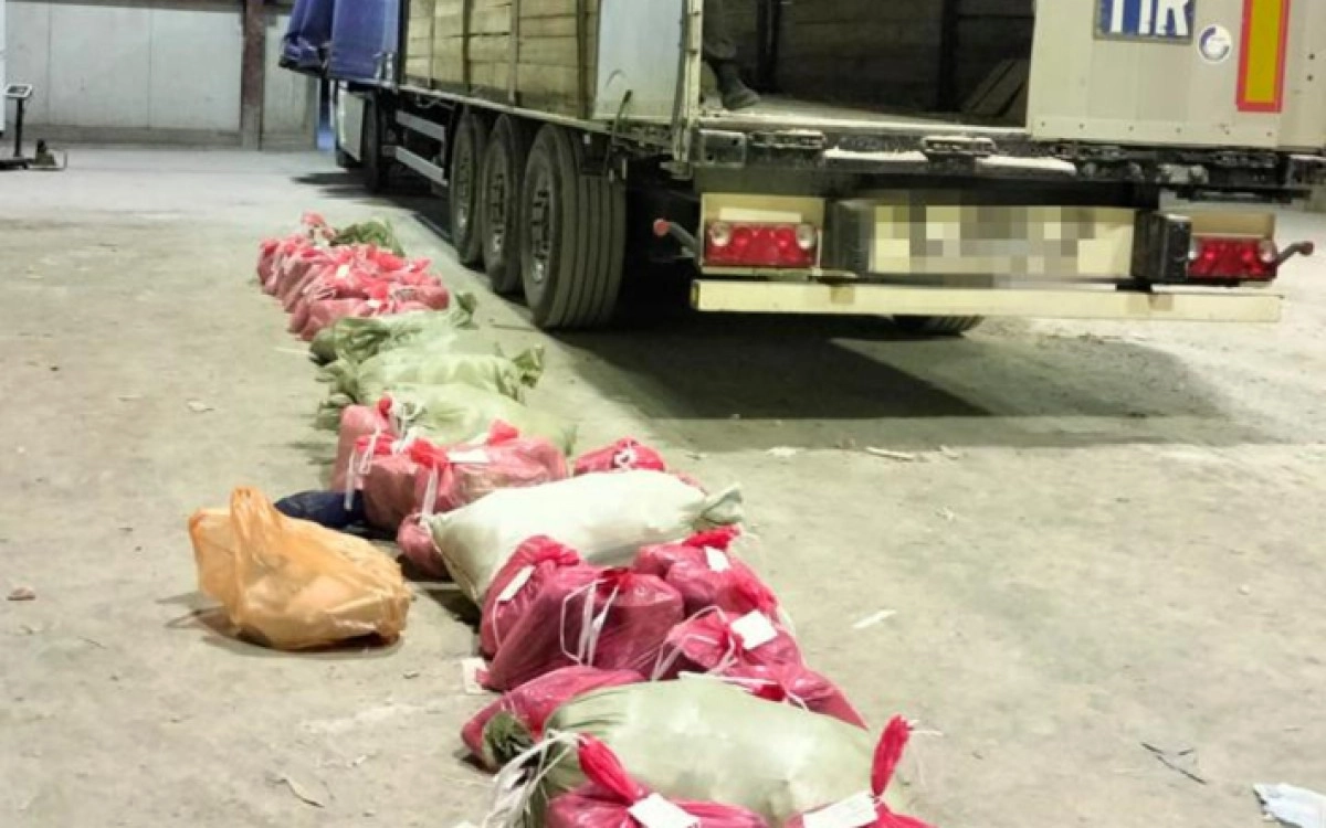 Фото: «Диапазон»