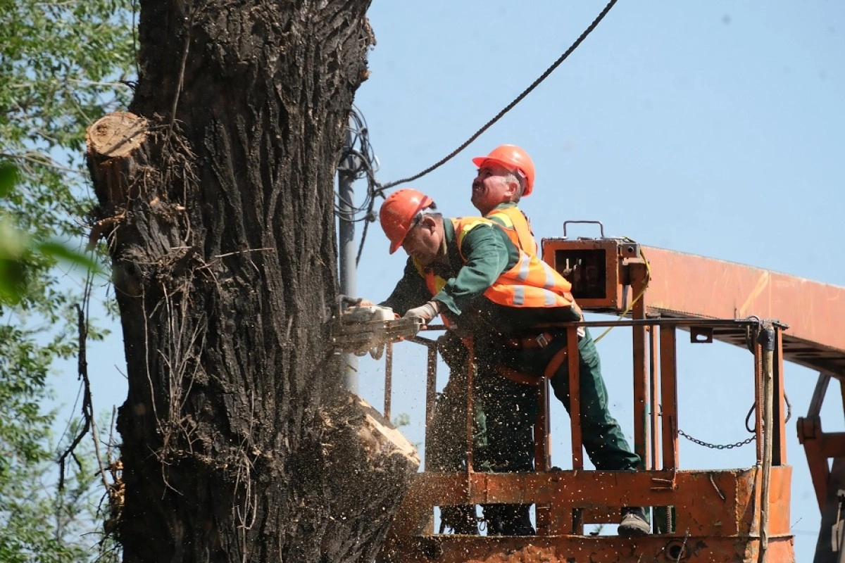Фото: Алматы Баспасөз қызметі
