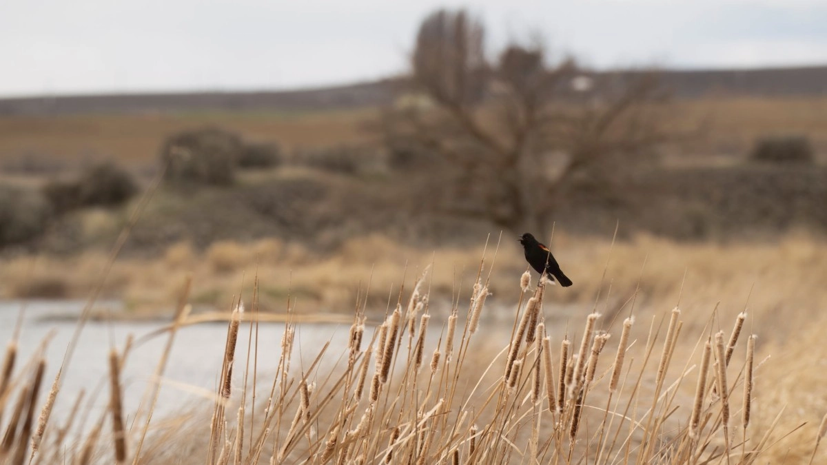 Фото: pexels.com