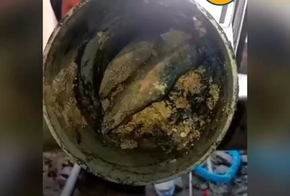 Кадр из видео